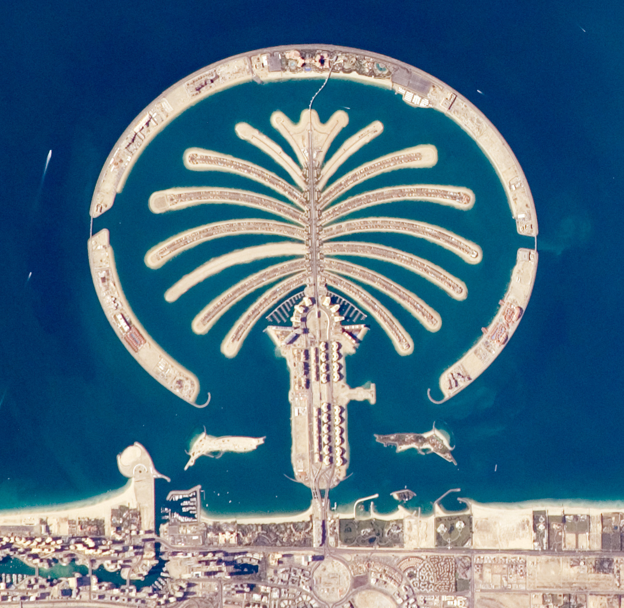 Aerial view of Palm Jumeirah showing its palm-shaped fronds and crescent breakwater